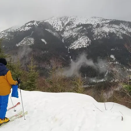 木屋 Jariabka - Mountains With Fireplace, Wellness Forest Will Recharge In The Tatras Jaraba