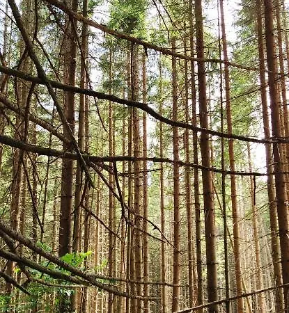 Jariabka - Mountains With Fireplace, Wellness Forest Will Recharge In The Tatras